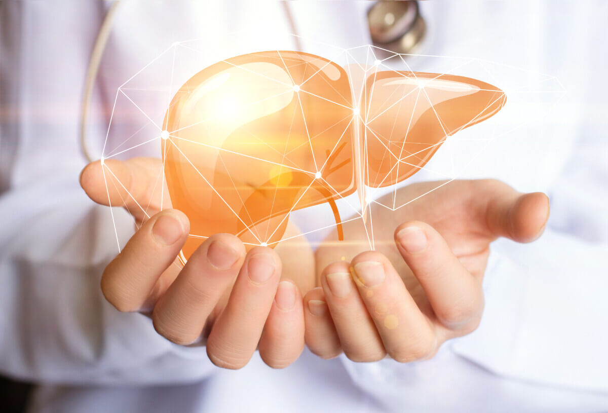 Liver