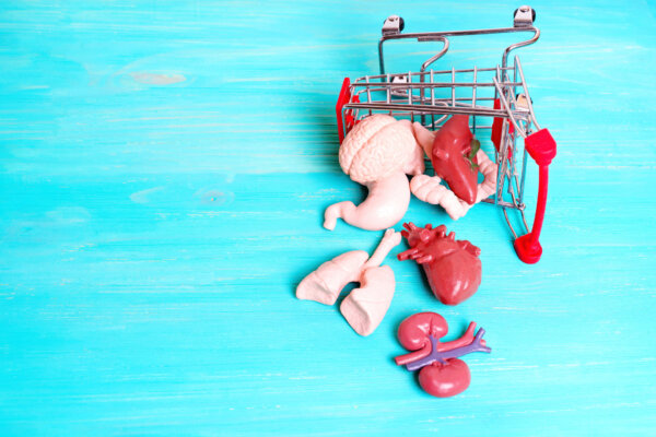 Body parts spilled out of a shopping car