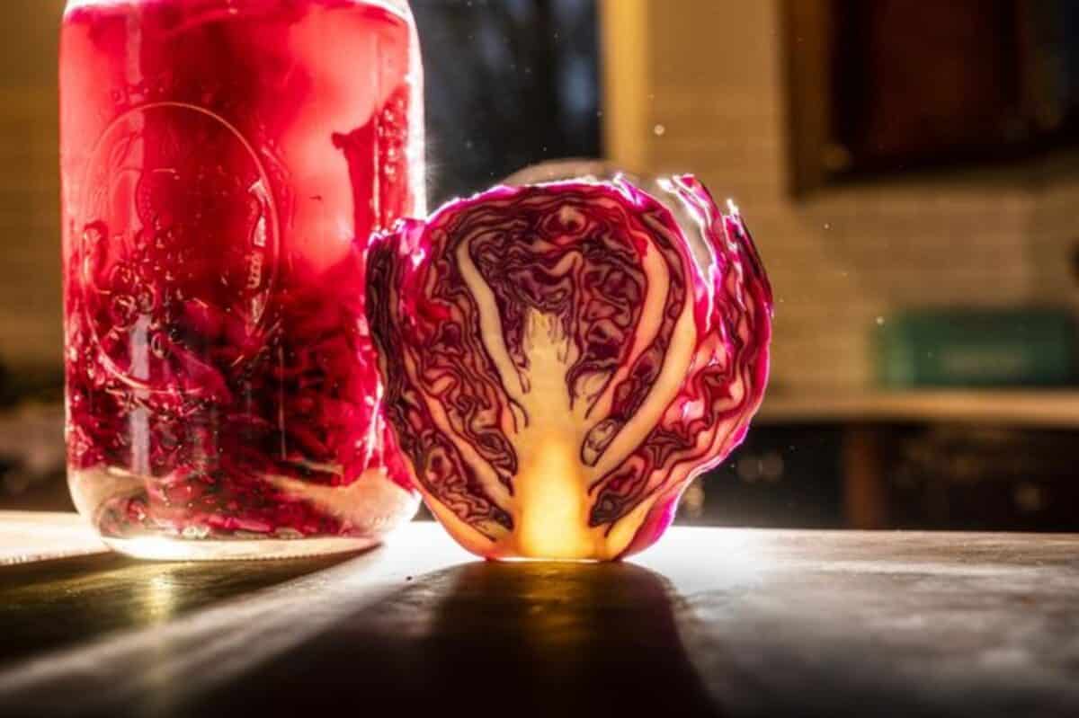 Sauerkraut