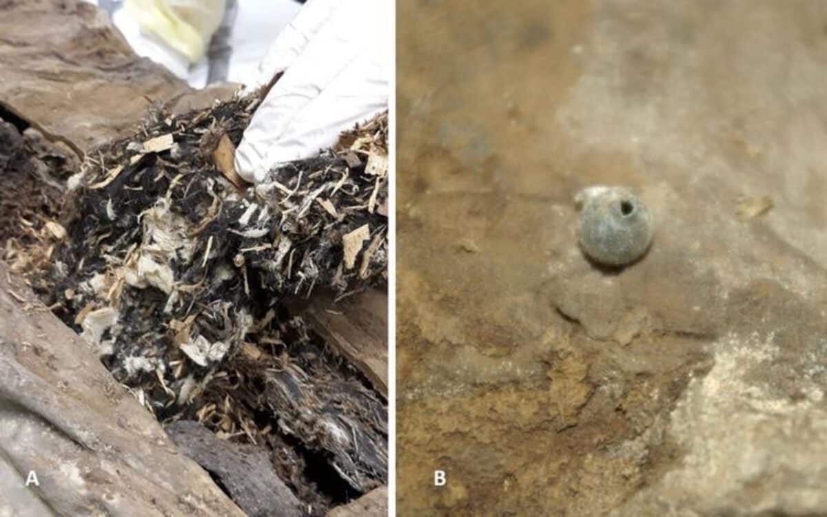 Bead from a mummy