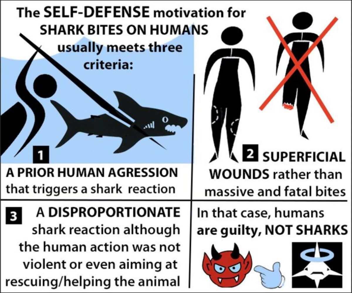 Shark self-defense
