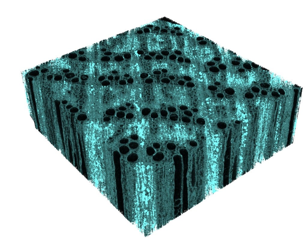 A microCT image that shows the distribution of the iron mineral in the wood cell wall