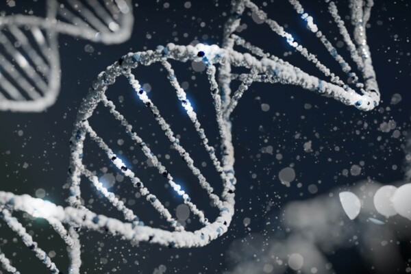 Longer genes could be the secret to the fountain of youth