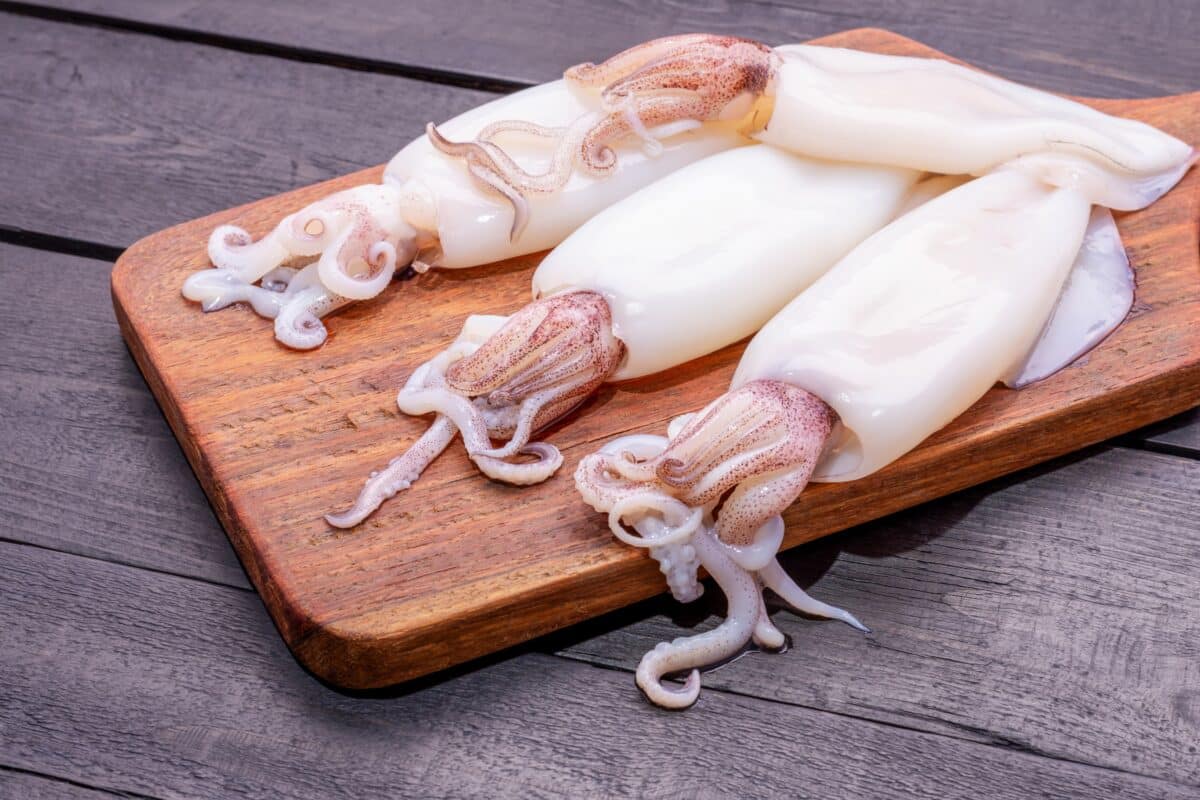 Fresh raw squid