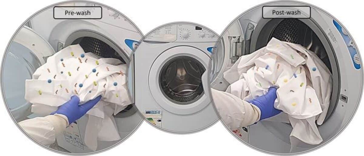 Washing machine germs