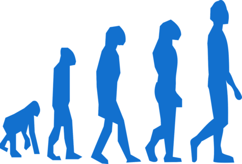 Evolution